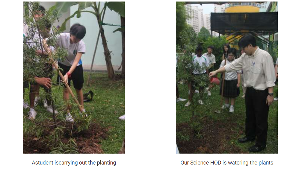 Two outdoor scenes: a student digging soil near a tree, and a man watering plants while students watch nearby.